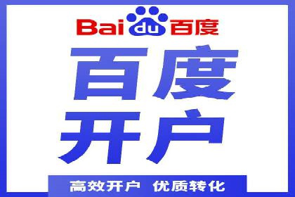 竞价排名案例：跨平台推广效果分析